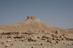 Palmyra - Syria - Palmira (96)