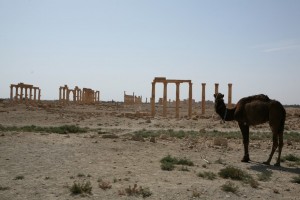 Palmyra - Syria - Palmira (98)