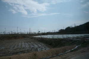 Panmunjom (163)