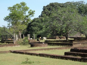 Polonnaruwa - Sri Lanka (59)