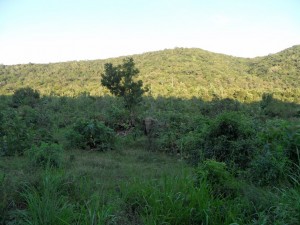 Polonnaruwa - Sri Lanka (63)