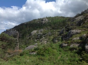 Preikestolen Norwegia (44)