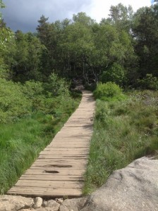 Preikestolen Norwegia (50)