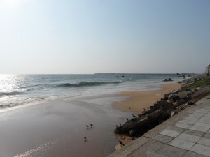 SAM_3890