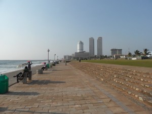 SAM_3906