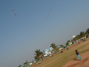 SAM_3917