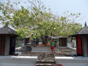 SAM_4040