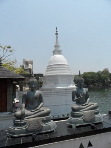 SAM_4041