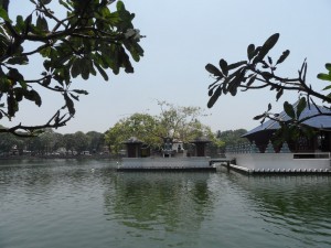 SAM_4044