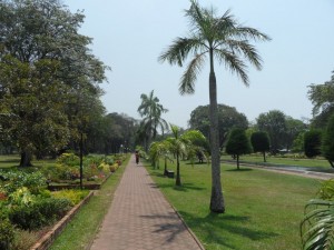 SAM_4054