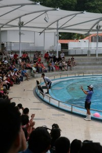 Sentosa Singapur (228)