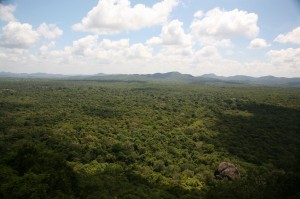 Sigirija - Sri Lanka (64)