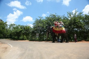 Sigirija - Sri Lanka (85)