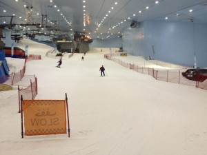 SkiDubai19