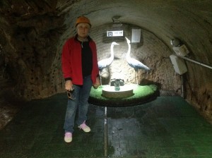 South Korea DMZ (120)
