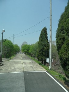 South Korea DMZ (168)