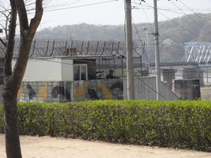 South Korea DMZ (177)