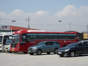 South Korea DMZ (187)