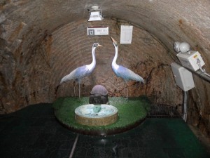 South Korea DMZ (215)