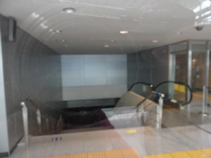 South Korea DMZ (239)