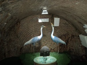 South Korea DMZ (42)