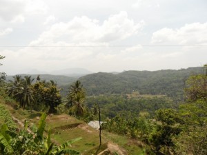 Sri Lanka (35)