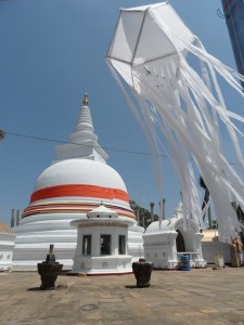 Sri Lanka Anuradhapura (100)