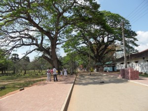 Sri Lanka Anuradhapura (38)