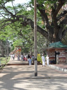 Sri Lanka Anuradhapura (39)