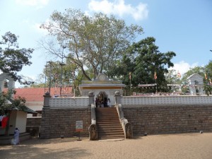 Sri Lanka Anuradhapura (43)