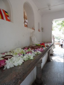 Sri Lanka Anuradhapura (51)