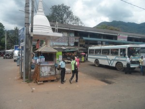 Sri Lanka Dambulla (8)