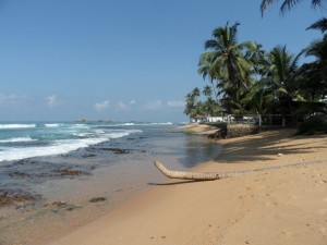 Sri Lanka - Hikkaduwa (16)