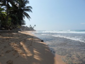 Sri Lanka - Hikkaduwa (18)