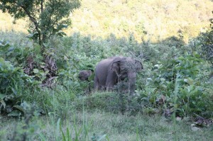 Sri Lanka - Polonnaruwa (114)