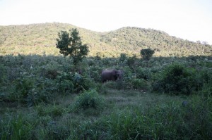 Sri Lanka - Polonnaruwa (116)