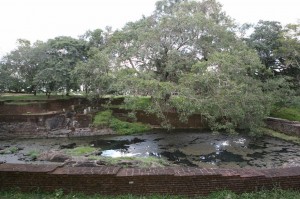 Sri Lanka - Polonnaruwa (2)