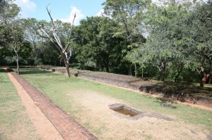 Sri Lanka - Polonnaruwa (46)