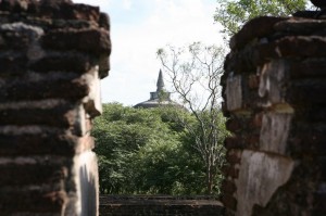 Sri Lanka - Polonnaruwa (79)