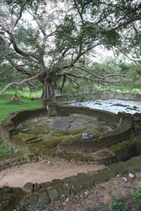 Sri Lanka - Polonnaruwa (8)