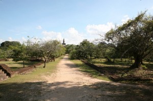 Sri Lanka - Polonnaruwa (94)