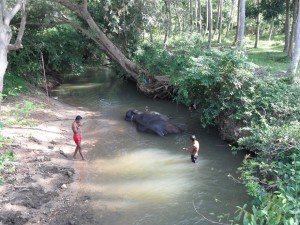 Sri Lanka - Sigirija (1)