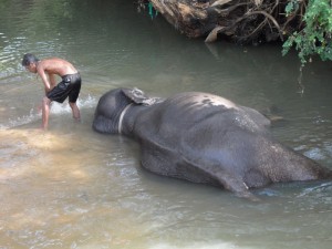 Sri Lanka - Sigirija (2)