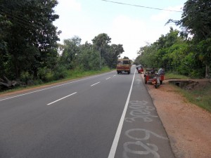 Sri Lanka - Sigirija (61)