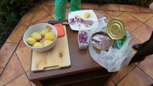 Surströmming (9)