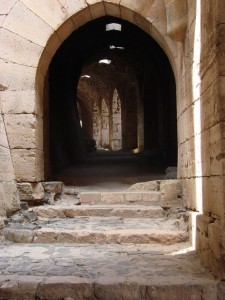 Syria (236)