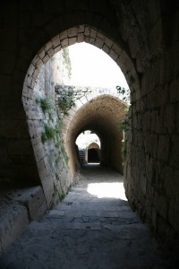 Syria (81)