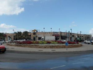 Tel Awiw (509)