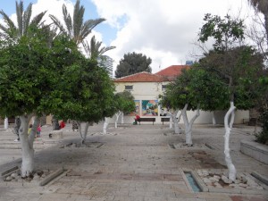 Tel Awiw (524)