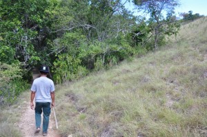 TrekkingpoKomodo (2)